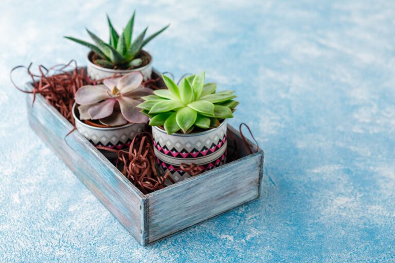 Doniczki zrób to sam