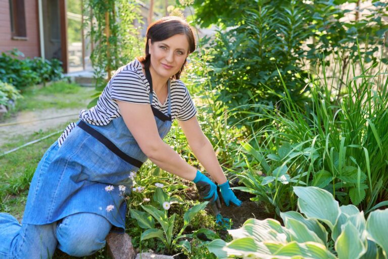Rodzaje ziemi dla roślin domowych: Jaka najlepsza dla kwiatów