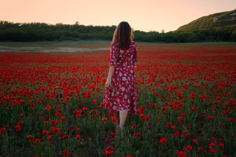 Uprawianie rdzennych kwiatów polnych w ogrodzie