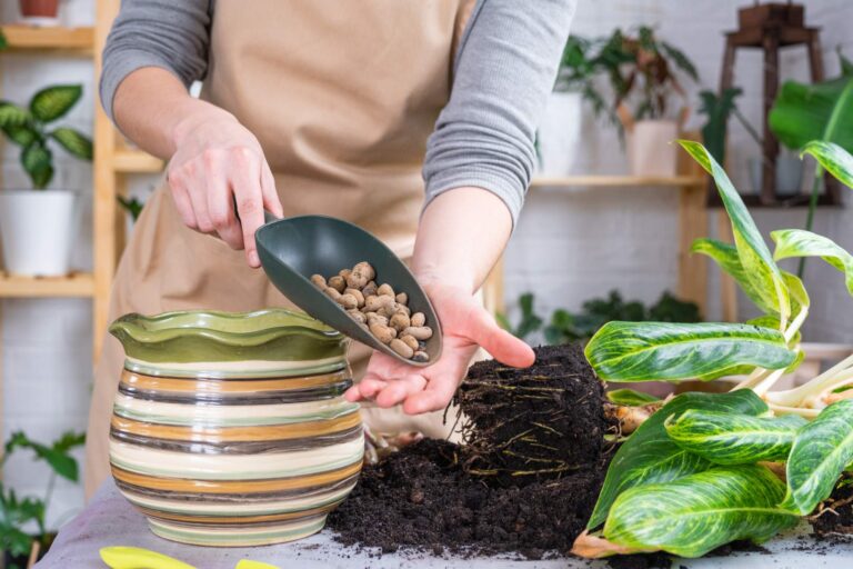 Keramzyt dla roślin - zastosowanie