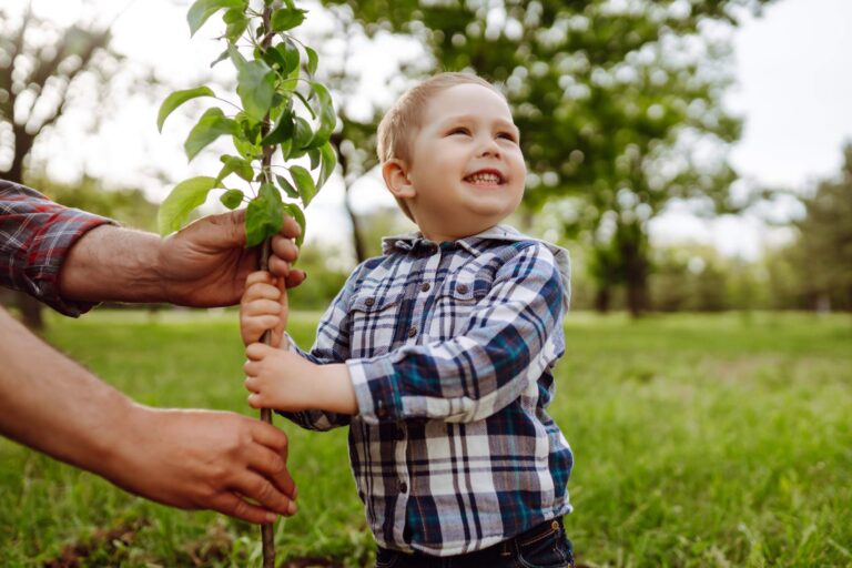 Planowanie nasadzeń roślin