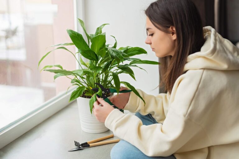 Choroby i szkodniki skrzydłokwiatu: Jak je rozpoznać i leczyć