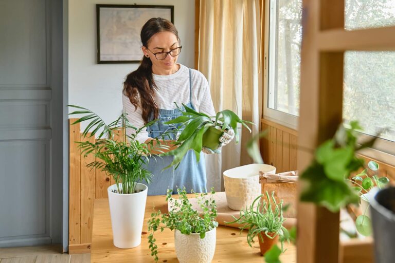 Najczęstsze błędy w uprawie paproci i jak ich unikać