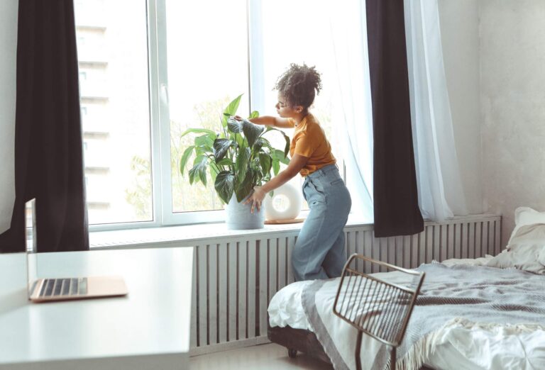 Jakie warunki świetlne są najlepsze dla skrzydłokwiatu?