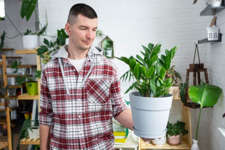 Rozpoznawanie szkodników i chorób roślin domowych: Przewodnik ze zdjęciami