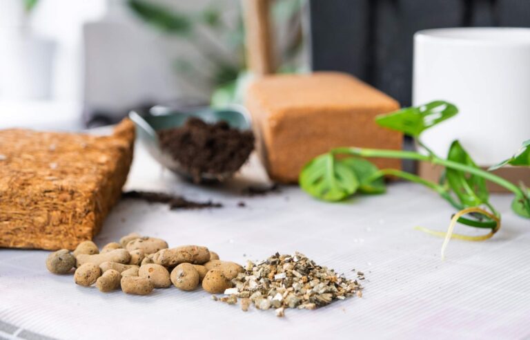Wszystko, co musisz wiedzieć o podłożu bigos dla roślin doniczkowych i ogrodowych
